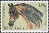 Colnect-6031-463-Arabian-Thoroughbred-Equus-ferus-caballus.jpg