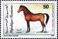 Colnect-557-347-Arabian-Thoroughbred-Equus-ferus-caballus.jpg