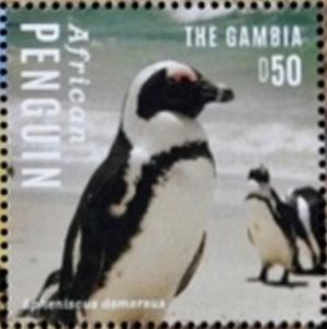 Colnect-3526-276-African-Penguin-nbsp-Spheniscus-demersus.jpg