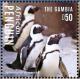 Colnect-3525-469-African-Penguin-nbsp-Spheniscus-demersus.jpg
