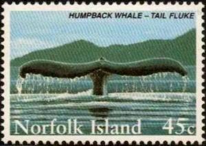 Colnect-2446-978-Tail-flukes-of-humpback-whale.jpg