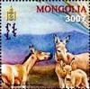 Colnect-2360-230-Mongolian-Khulan-Equus-hemionus-hemionus.jpg