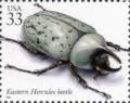 Colnect-201-328-Eastern-Hercules-Beetle-Dynastes-tityus.jpg