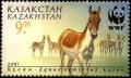 Colnect-2567-280-Turkmen-Khulan-Equus-hemionus-kulan.jpg
