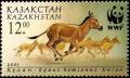 Colnect-2567-281-Turkmen-Khulan-Equus-hemionus-kulan.jpg