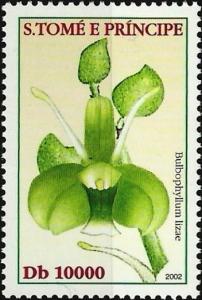 Colnect-5275-245-Bulbophyllum-lizae.jpg