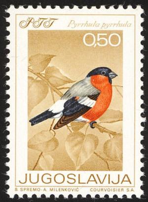 Colnect-1247-918-Eurasian-Bullfinch-Pyrrhula-pyrrhula.jpg