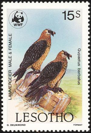 Colnect-1725-545-Bearded-Vulture-Gypaetus-barbatus.jpg