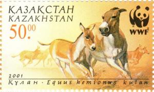 Colnect-4692-160-Turkmen-Khulan-Equus-hemionus-kulan.jpg