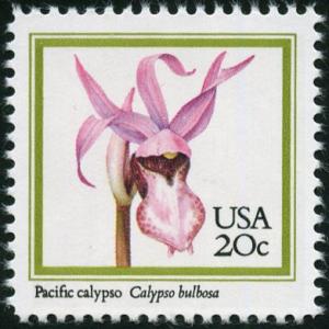 Colnect-5093-862-Calypso-bulbosa---Pacific-Calypso.jpg