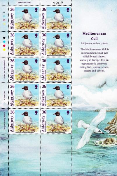 Colnect-4536-397-Mediterranean-Gull-Ichthyaetus-melanocephalus.jpg