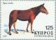 Colnect-174-287-Mule-Equus-mulus.jpg