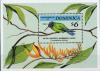 Colnect-3199-847-Blue-headed-Hummingbird-Cyanophaia-bicolor.jpg