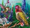 Colnect-5542-626-Ruby-throated-Hummingbird-Archilochus-colubris.jpg