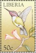 Colnect-1641-874-Anna-s-Hummingbird-Calypte-anna.jpg