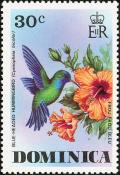 Colnect-1748-031-Blue-headed-Hummingbird-Cyanophaia-bicolor.jpg