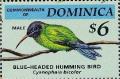 Colnect-3199-848-Blue-headed-Hummingbird-Cyanophaia-bicolor.jpg