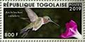 Colnect-5646-488-Ruby-throated-Hummingbird-Archilochus-colubris.jpg