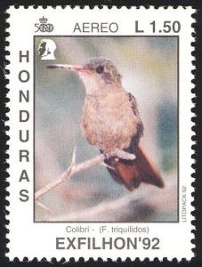 Colnect-1552-226-Cinnamon-Hummingbird-Amazilia-rutila.jpg