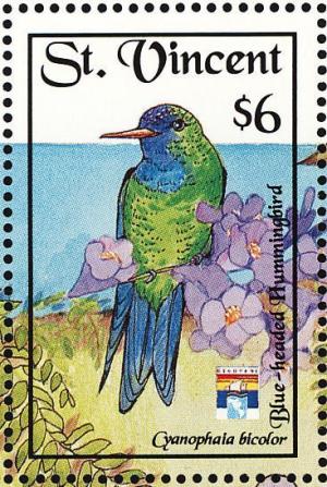 Colnect-1755-586-Blue-headed-Hummingbird-Cyanophaia-bicolor.jpg