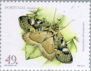 Colnect-187-292-Moth-Eumichtis-albostigmata.jpg