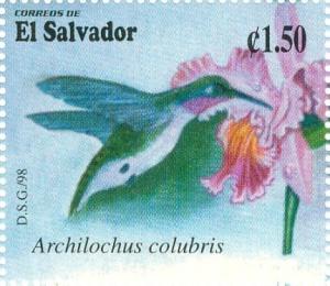 Colnect-2950-152-Ruby-throated-Hummingbird-Archilochus-colubris.jpg