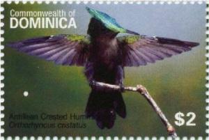 Colnect-3277-640-Antillean-Crested-Hummingbird-Orthorhynchus-cristatus.jpg