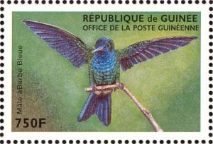 Colnect-3880-533-Blue-headed-Hummingbird-Cyanophaia-bicolor.jpg