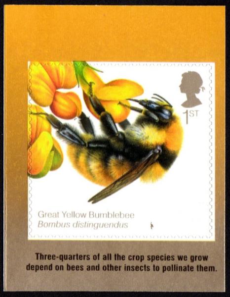 Colnect-2995-204-Great-Yellow-Bumblebee-Bombus-distinguendus.jpg