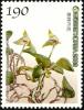 Colnect-1606-187-Bulbophyllum-drymoglossum-Maximowicz.jpg