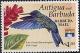 Colnect-2182-705-Blue-headed-Hummingbird-Cyanophaia-bicolor.jpg