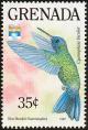 Colnect-2192-524-Blue-headed-Hummingbird-Cyanophaia-bicolor.jpg