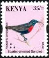 Colnect-4090-070-Scarlet-chested-Sunbird%C2%A0Chalcomitra-senegalensis.jpg