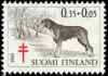 Finnish-Hound-1965.jpg