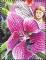 Colnect-1850-356-Undefined-Orchid.jpg
