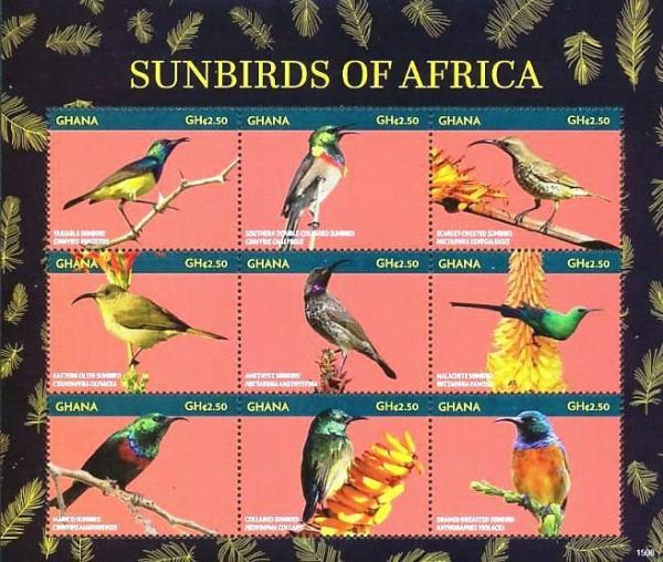 Colnect-4241-242-Sunbirds-of-Africa.jpg