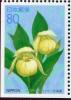 Colnect-6255-443-Lady-s-Slipper-of-Rebun-Orchid-Cypripedium-macranthum-var.jpg