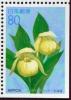 Colnect-6255-444-Lady-s-Slipper-of-Rebun-Orchid-Cypripedium-macranthum-var.jpg