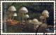 Colnect-1493-686-Fungi-Coprinus-sp.jpg