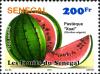 Colnect-2333-916-African-Melon--ldquo-Xaal-rdquo--Citrullus-vulgaris.jpg