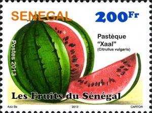 Colnect-2333-916-African-Melon--ldquo-Xaal-rdquo--Citrullus-vulgaris.jpg