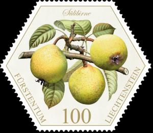Colnect-3715-023-Pears--quot-S-uuml-libirne-quot-.jpg