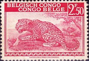 Colnect-981-033-Leopard---inscribed--quot-Belgisch-Congo-Congo-Belge-quot-.jpg