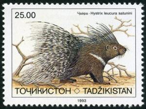 Colnect-5030-262-Indian-Crested-Porcupine-Hystrix-leucura-ssp-saturnini.jpg