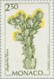 Colnect-149-625-Euphorbia-virosa.jpg