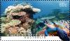 Colnect-1917-007-Green-Sea-Turtle-Chelonia-mydas-Corals.jpg