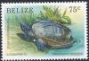 Colnect-2184-938-Mexican-Musk-Turtle-Staurotypus-triporcatus-.jpg