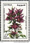 Colnect-2219-520-Plum-coloured-with-yellow-centres.jpg