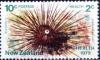 Colnect-951-860-Red-Sea-Urchin-Diadema-palmeri.jpg