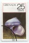 Colnect-994-120-Purple-Sea-snail.jpg